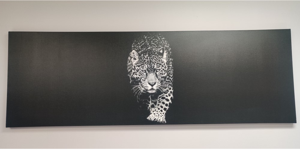 Greyscale Cheetah Wall Art